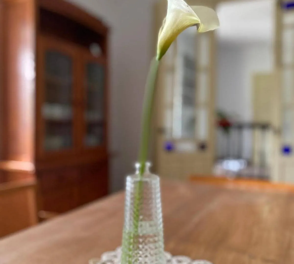 El Carmen Yoga House Villa Ronda